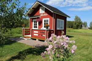 Suomi nro 6